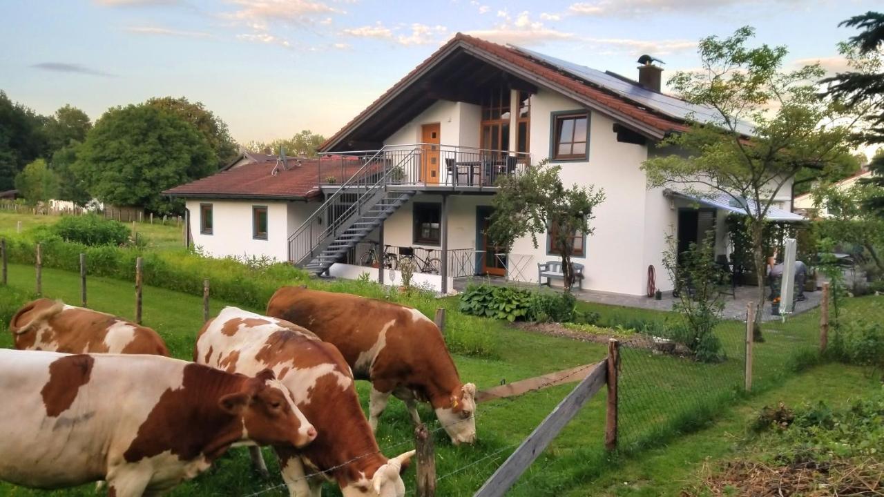 Exclusiv - Ferienwohnung Hinterreiter アインリング エクステリア 写真
